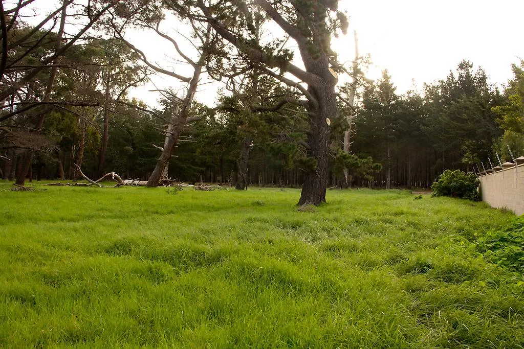 Tokai Forest Guest House South Africa